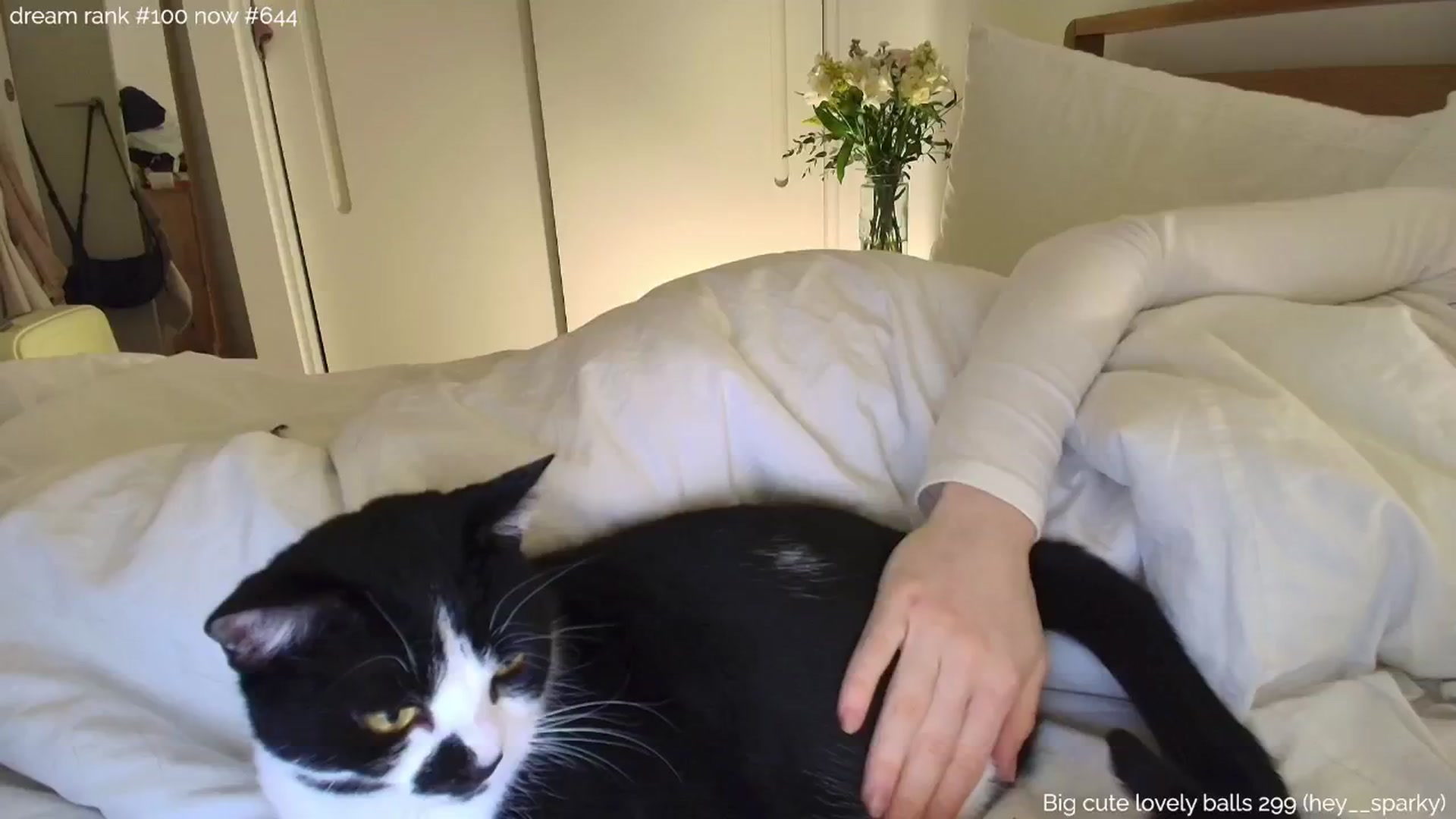 Gallery image thumbnail from tokencunt's myfreecams stream on, 01/31/2025, 01:45 image 5 of 20