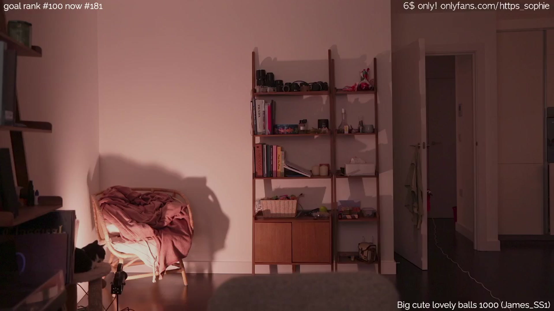 Gallery image thumbnail from tokencunt's myfreecams stream on, 02/16/2025, 24:57 image 19 of 20