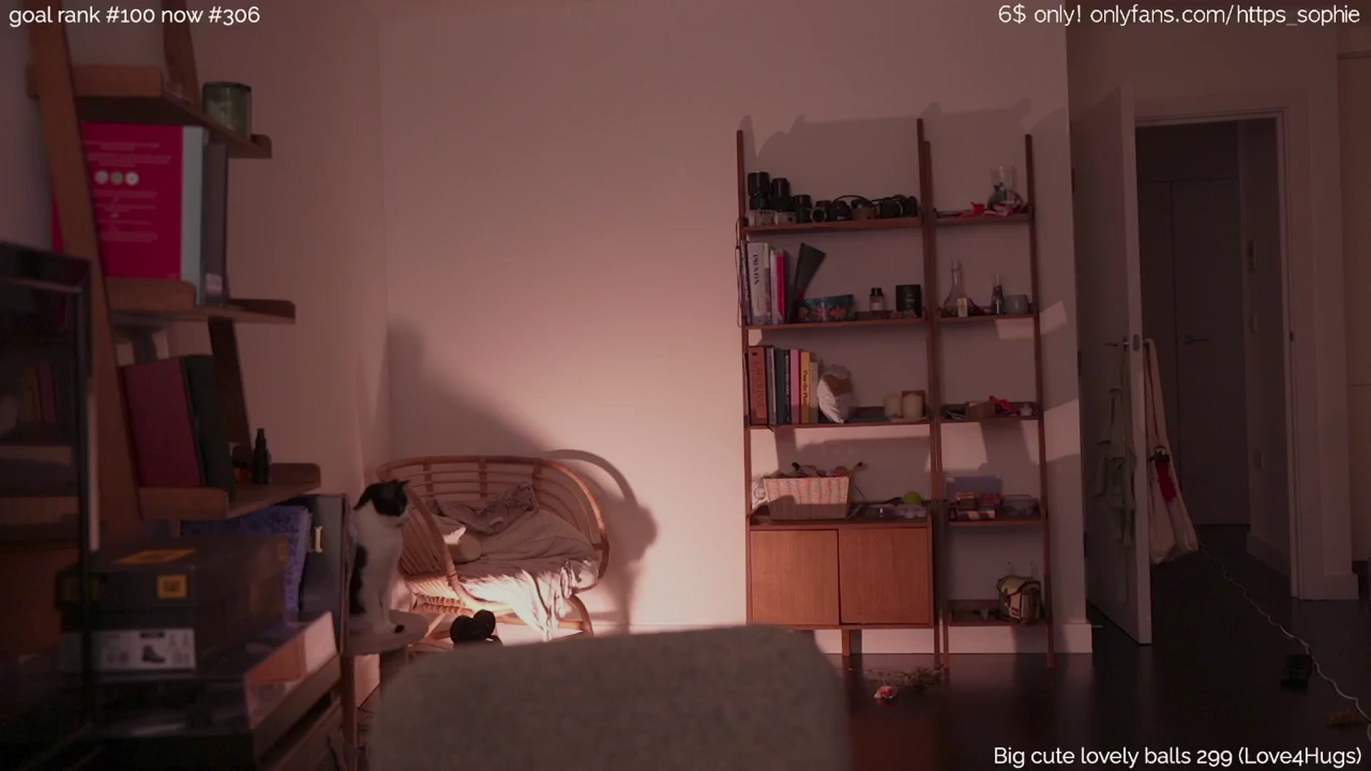 Gallery image thumbnail from tokencunt's myfreecams stream on, 02/27/2025, 02:47 image 5 of 20