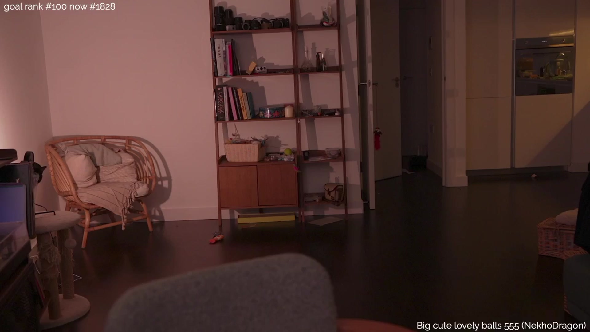 Gallery image thumbnail from tokencunt's myfreecams stream on, 04/19/2025, 02:39 image 17 of 20