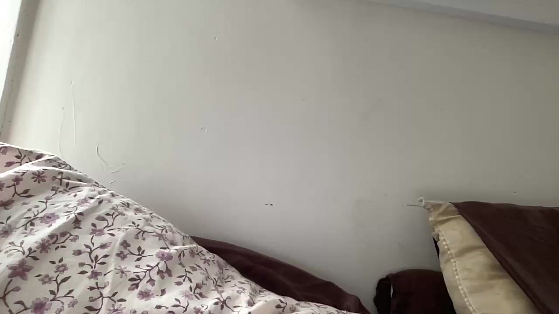 Gallery image thumbnail from tonyclifton69's myfreecams stream on, 11/11/2025, 18:10 image 18 of 20