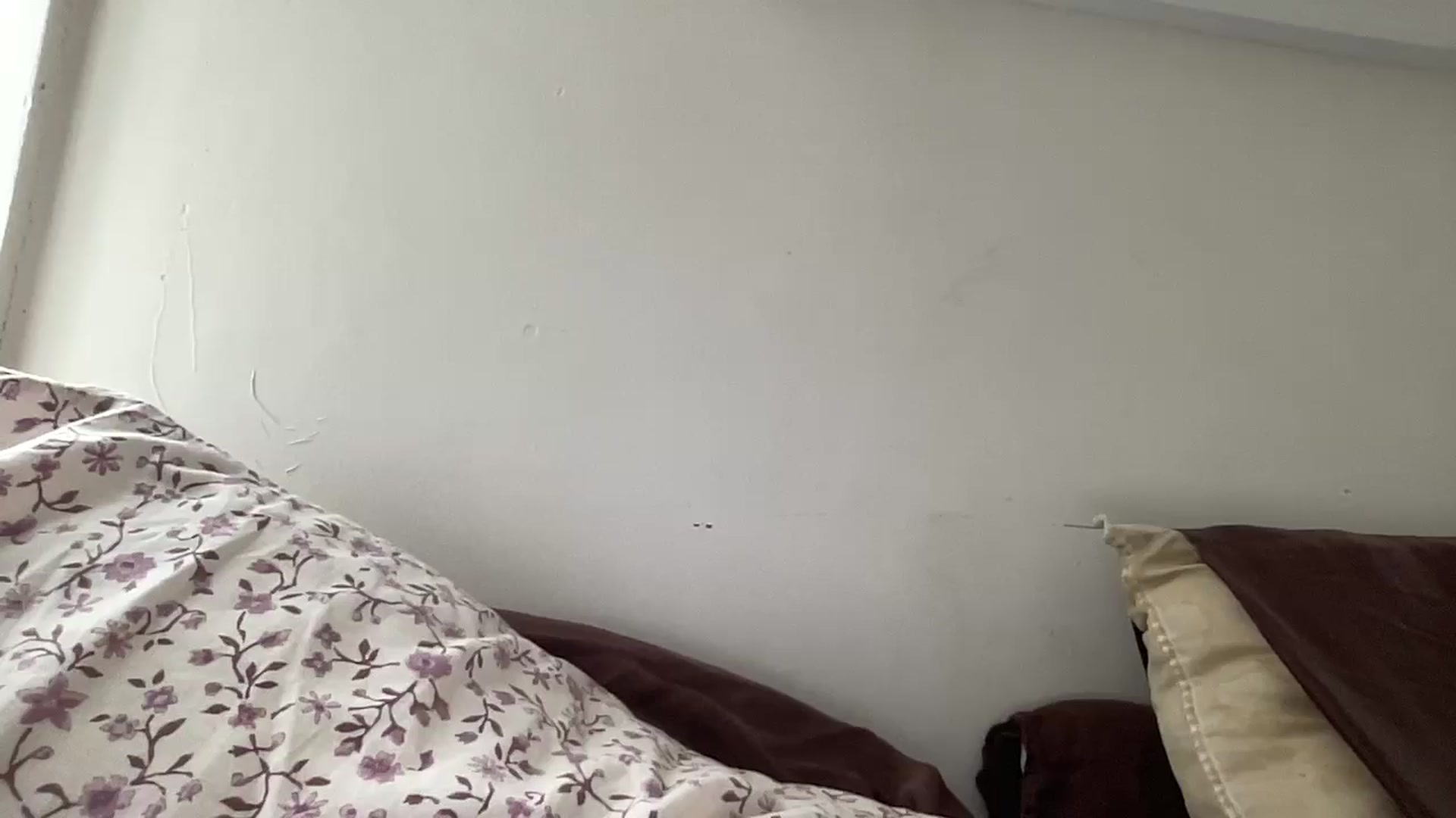 Gallery image thumbnail from tonyclifton69's myfreecams stream on, 11/11/2025, 18:10 image 17 of 20