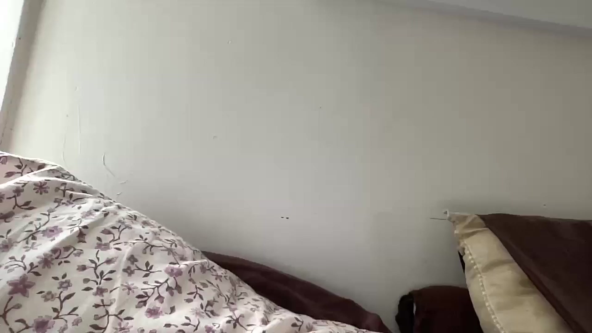 Gallery image thumbnail from tonyclifton69's myfreecams stream on, 11/11/2025, 18:10 image 19 of 20