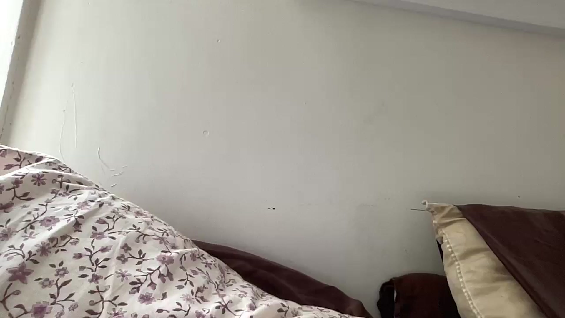 Gallery image thumbnail from tonyclifton69's myfreecams stream on, 11/11/2025, 18:10 image 20 of 20
