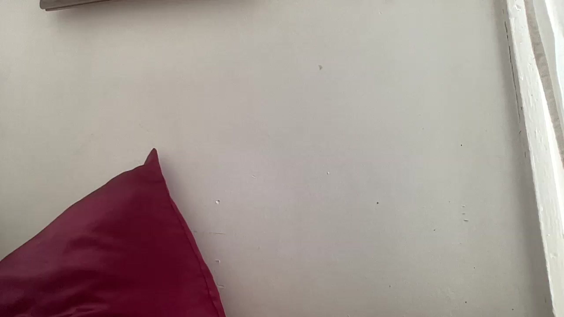 Gallery image thumbnail from tonyclifton69's myfreecams stream on, 08/21/2026, 21:32 image 9 of 20