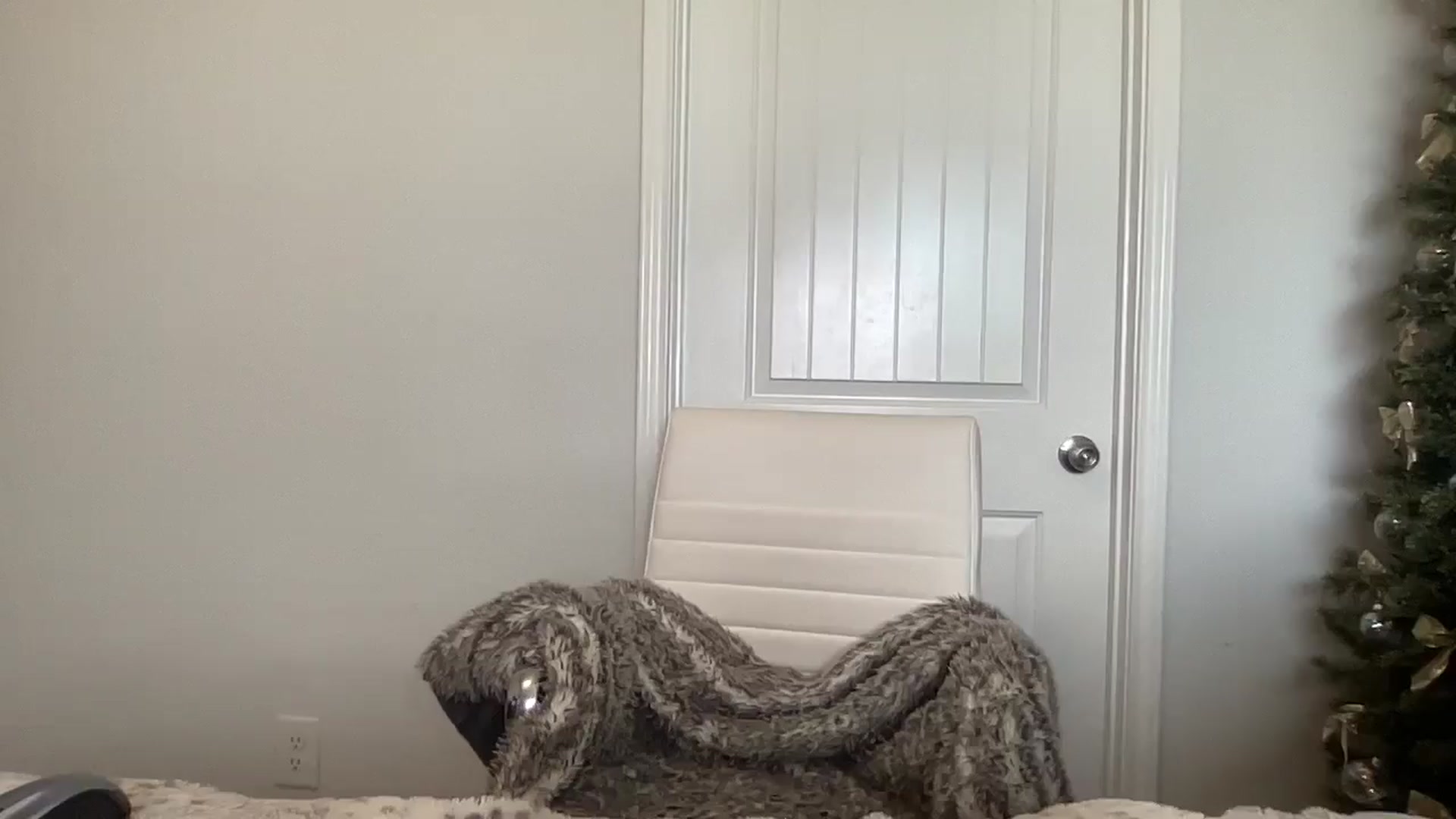 Gallery image thumbnail from torireigns1's myfreecams stream on, 12/06/2024, 18:48 image 20 of 20