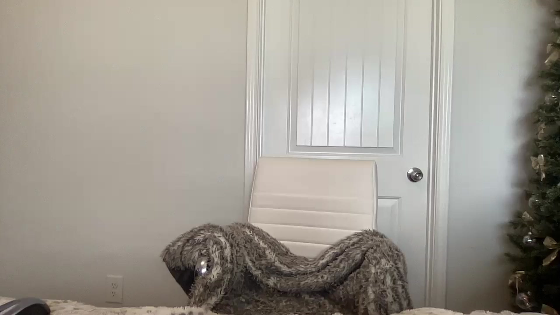 Gallery image thumbnail from torireigns1's myfreecams stream on, 12/06/2024, 18:48 image 19 of 20