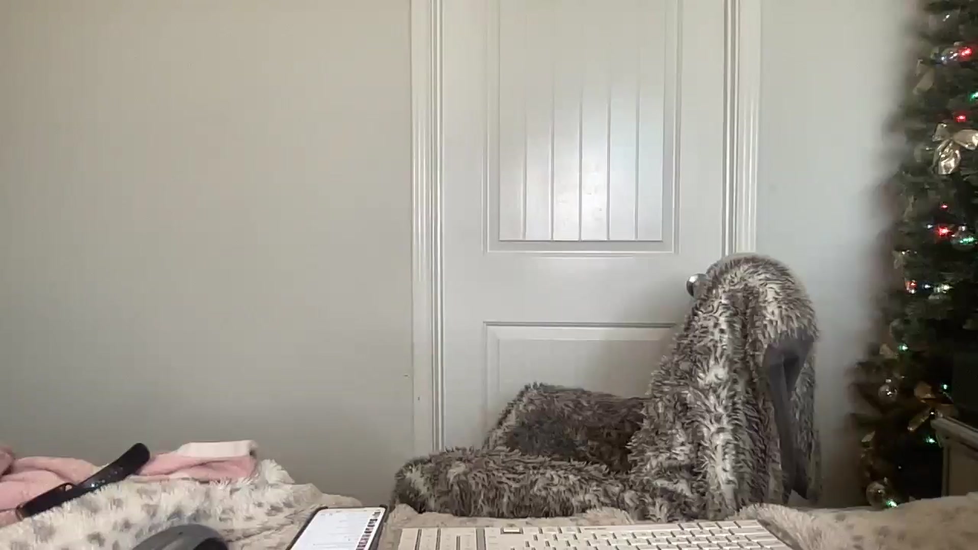 Gallery image thumbnail from torireigns1's myfreecams stream on, 12/22/2024, 18:49 image 4 of 20