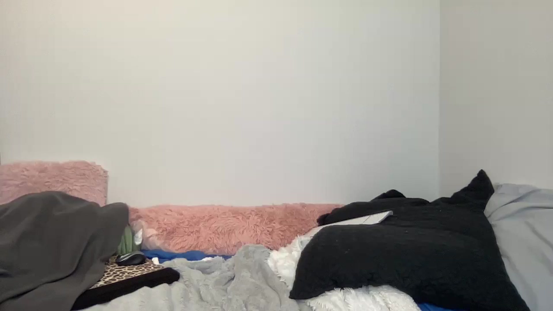 Gallery image thumbnail from torireigns1's myfreecams stream on, 12/30/2024, 02:30 image 13 of 20