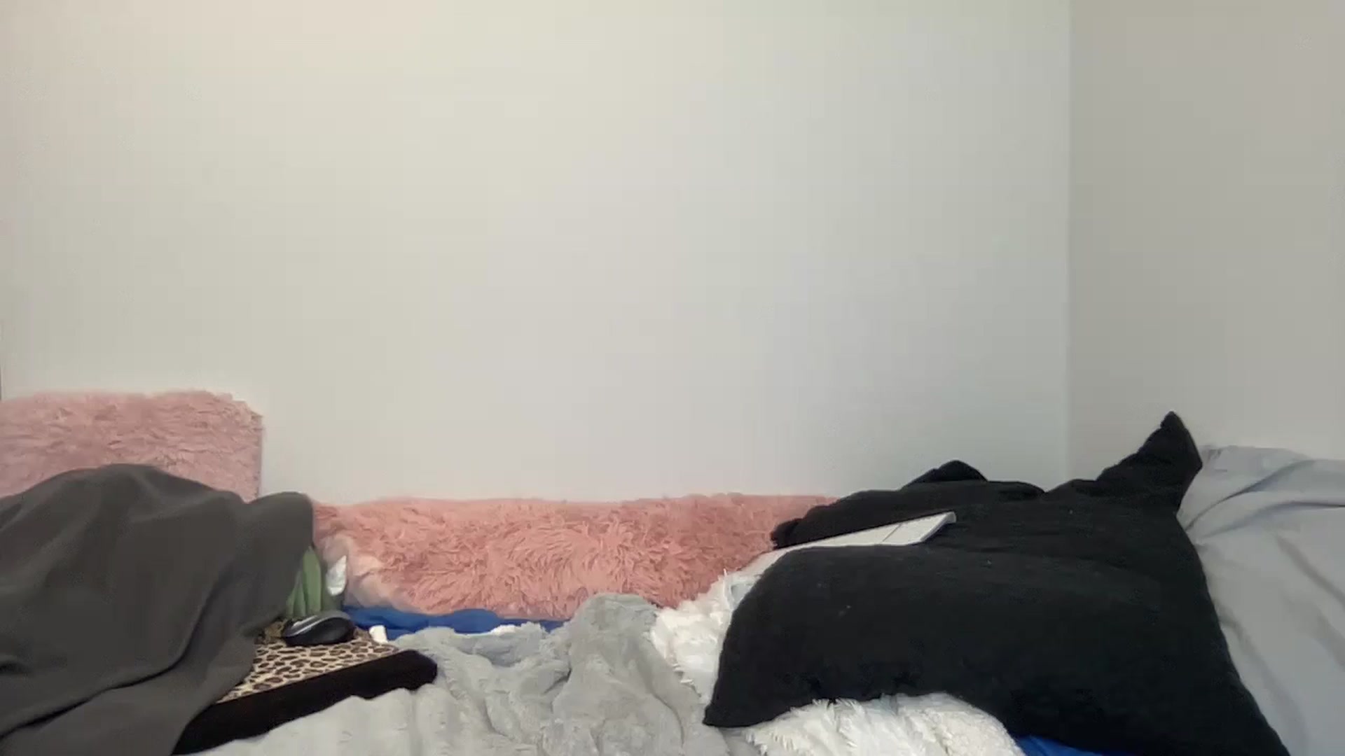 Gallery image thumbnail from torireigns1's myfreecams stream on, 12/30/2024, 02:30 image 15 of 20
