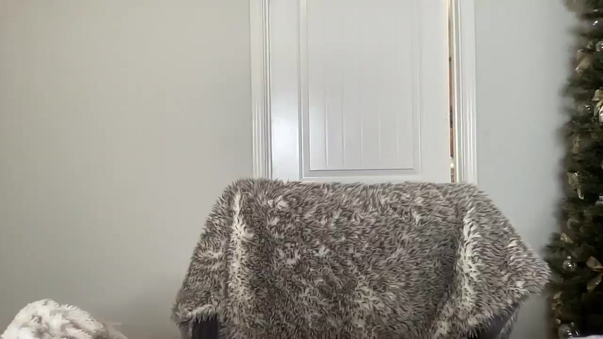 Gallery image thumbnail from torireigns1's myfreecams stream on, 01/07/2025, 21:00 image 13 of 20