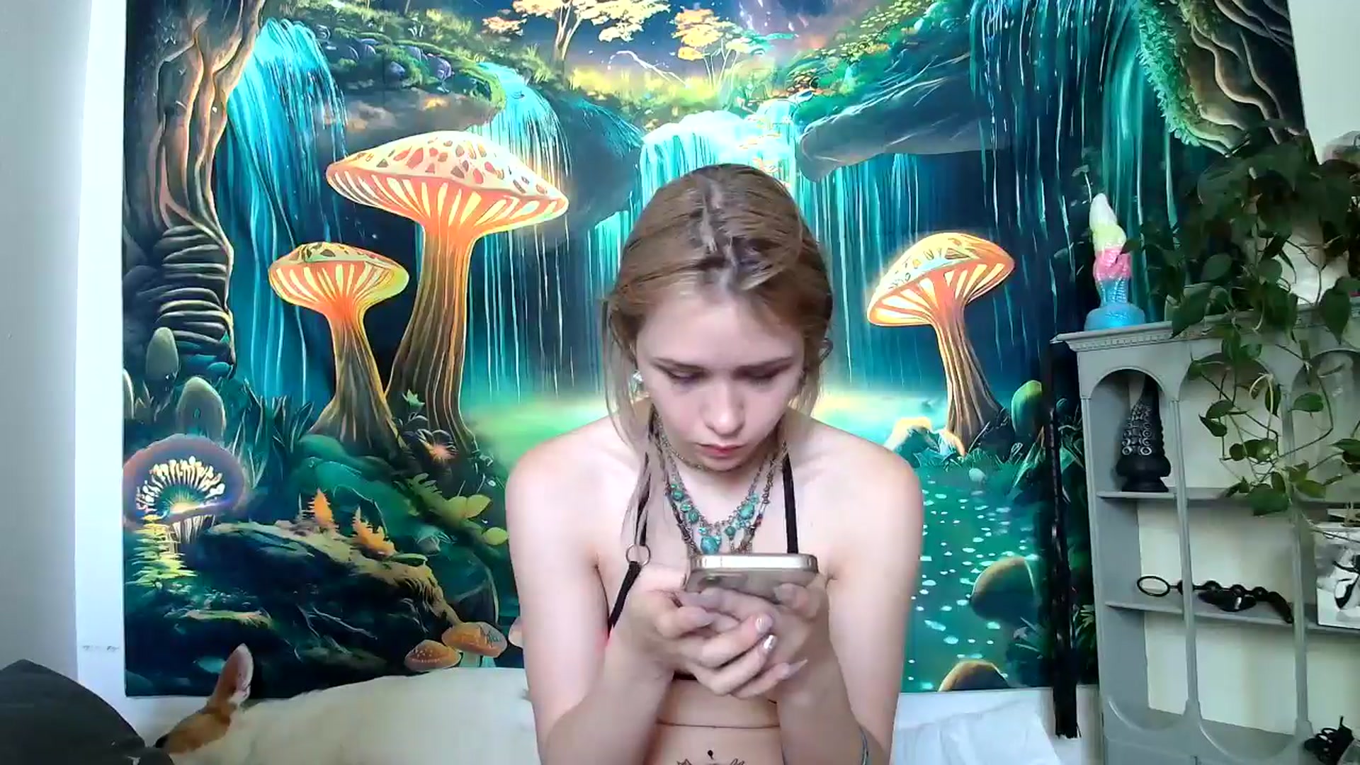 Gallery image thumbnail from tr4pf4iry's myfreecams stream on, 05/15/2024, 18:39 image 4 of 20