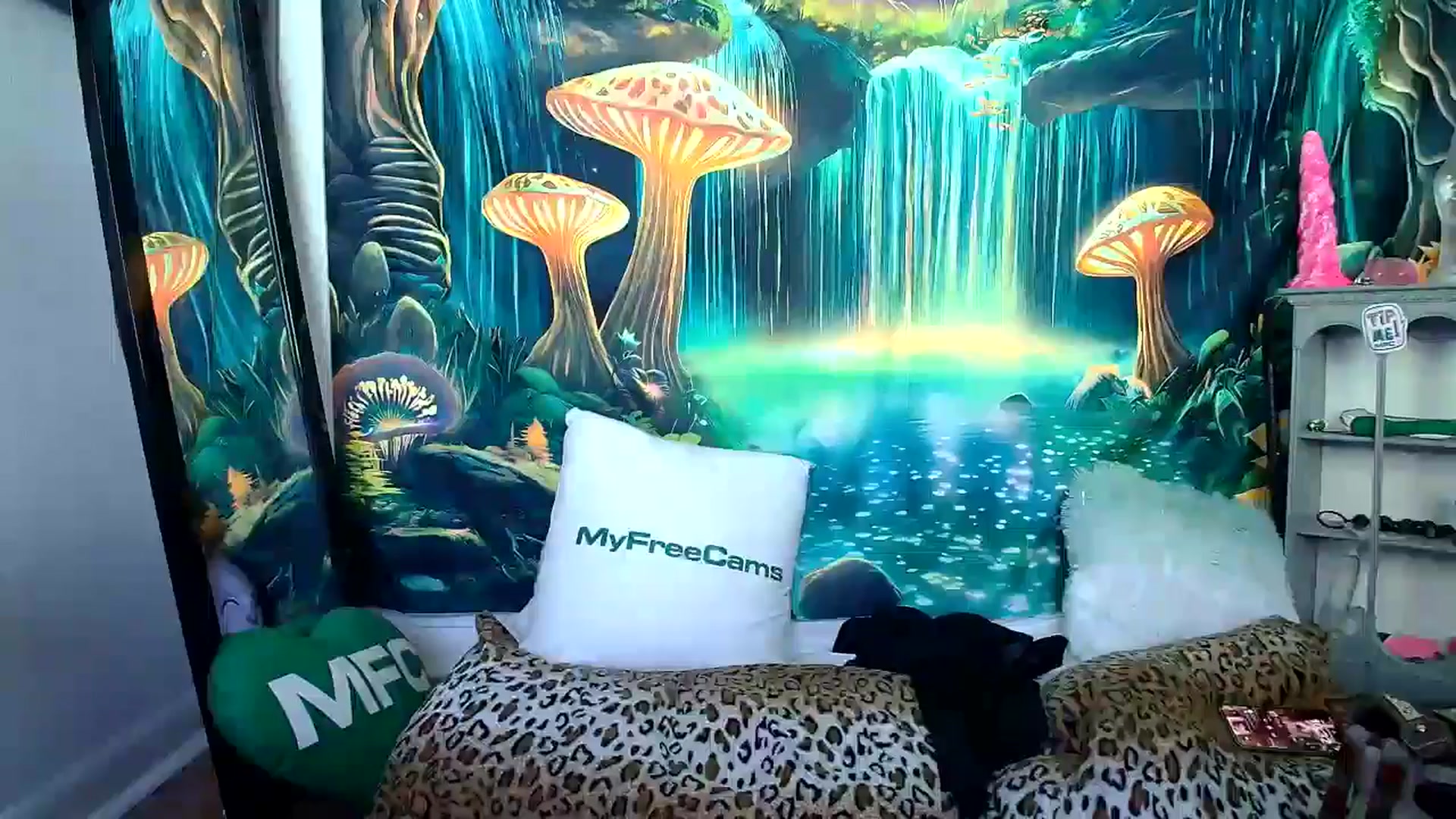 Gallery image thumbnail from tr4pf4iry's myfreecams stream on, 11/25/2024, 16:43 image 13 of 20