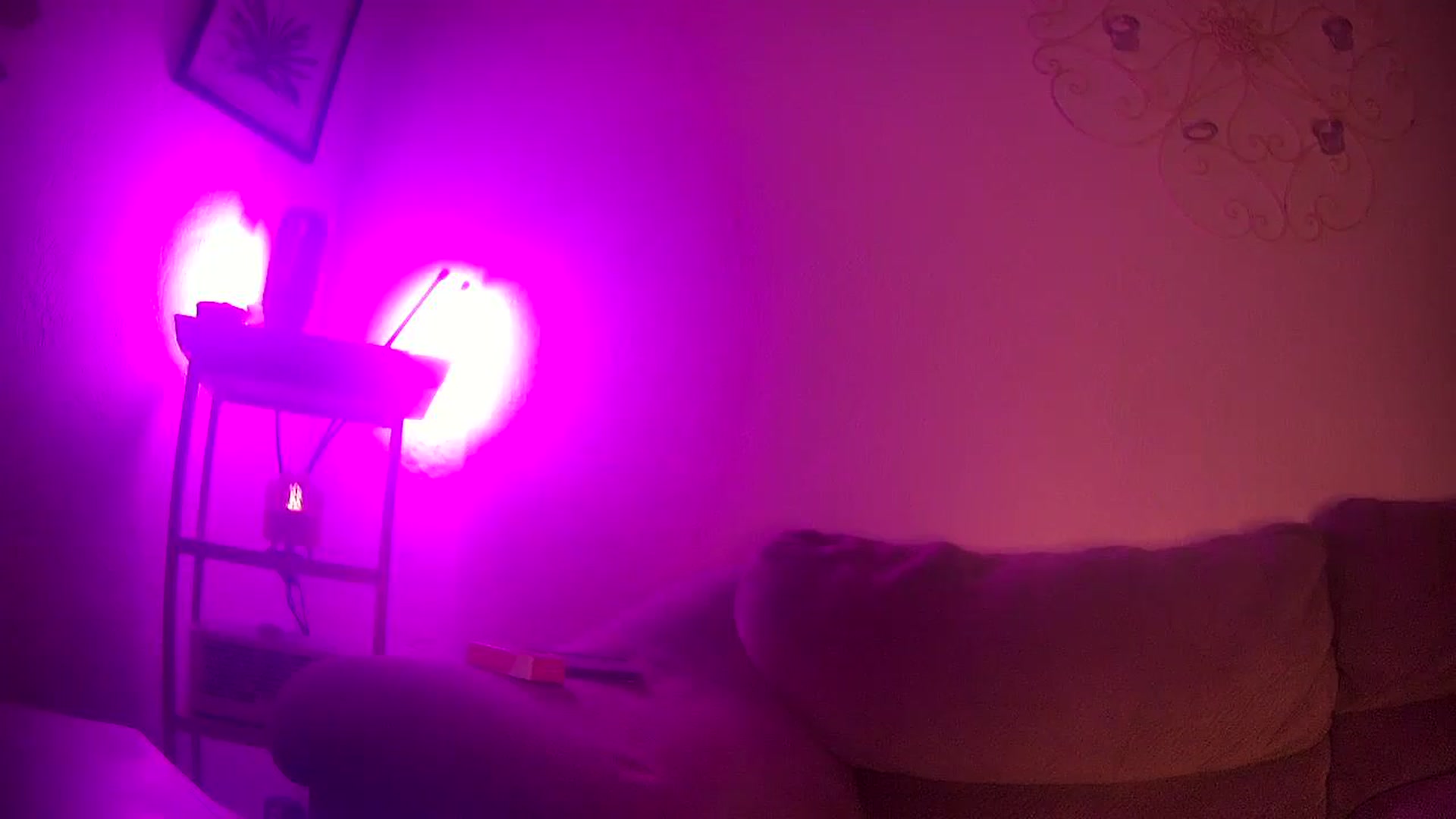 Gallery image thumbnail from unheavenly_'s myfreecams stream on, 09/03/2024, 09:17 image 20 of 20