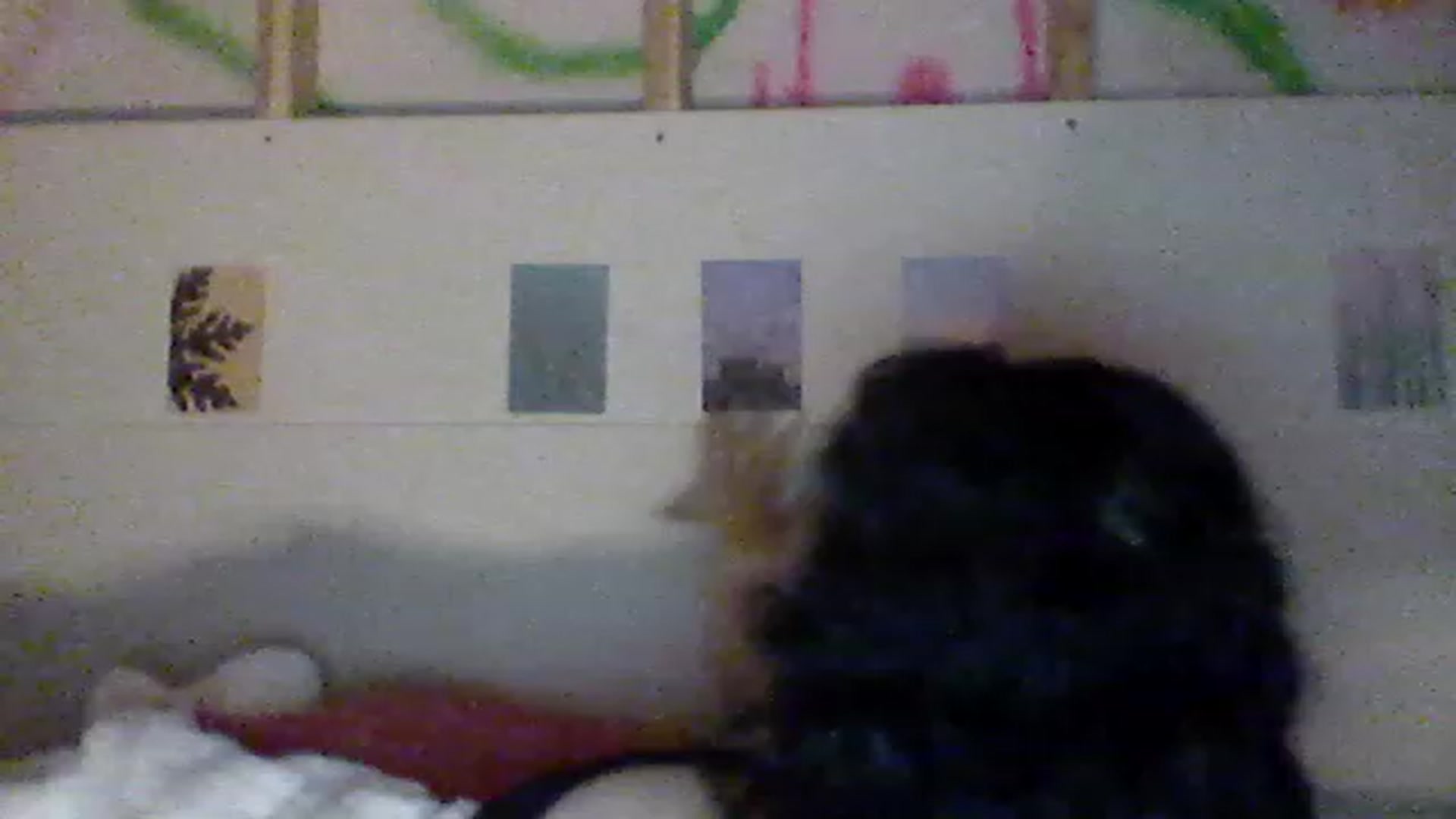 Gallery image thumbnail from valpal000's myfreecams stream on, 12/02/2022, 09:35 image 3 of 20