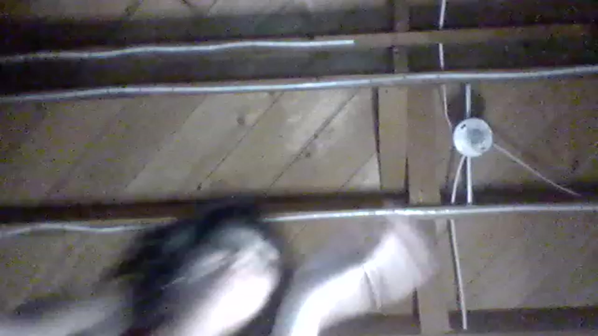 Gallery image thumbnail from valpal000's myfreecams stream on, 12/03/2022, 11:39 image 10 of 20