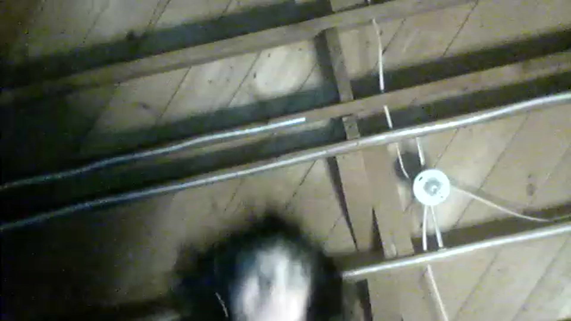 Gallery image thumbnail from valpal000's myfreecams stream on, 12/03/2022, 12:26 image 15 of 20