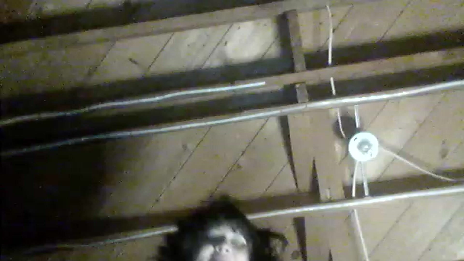 Gallery image thumbnail from valpal000's myfreecams stream on, 12/03/2022, 13:47 image 14 of 20
