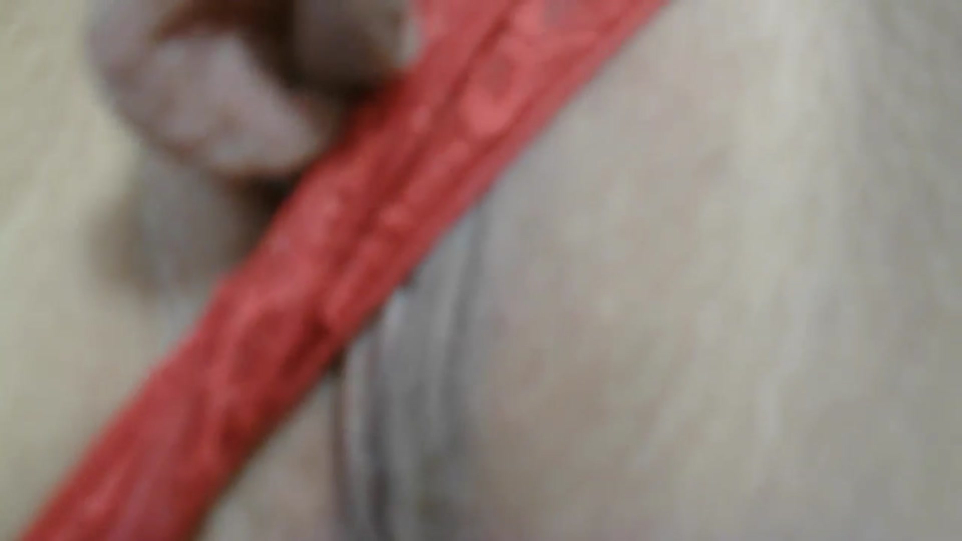 Gallery image thumbnail from velvet_49's myfreecams stream on, 04/23/2026, 06:53 image 5 of 20