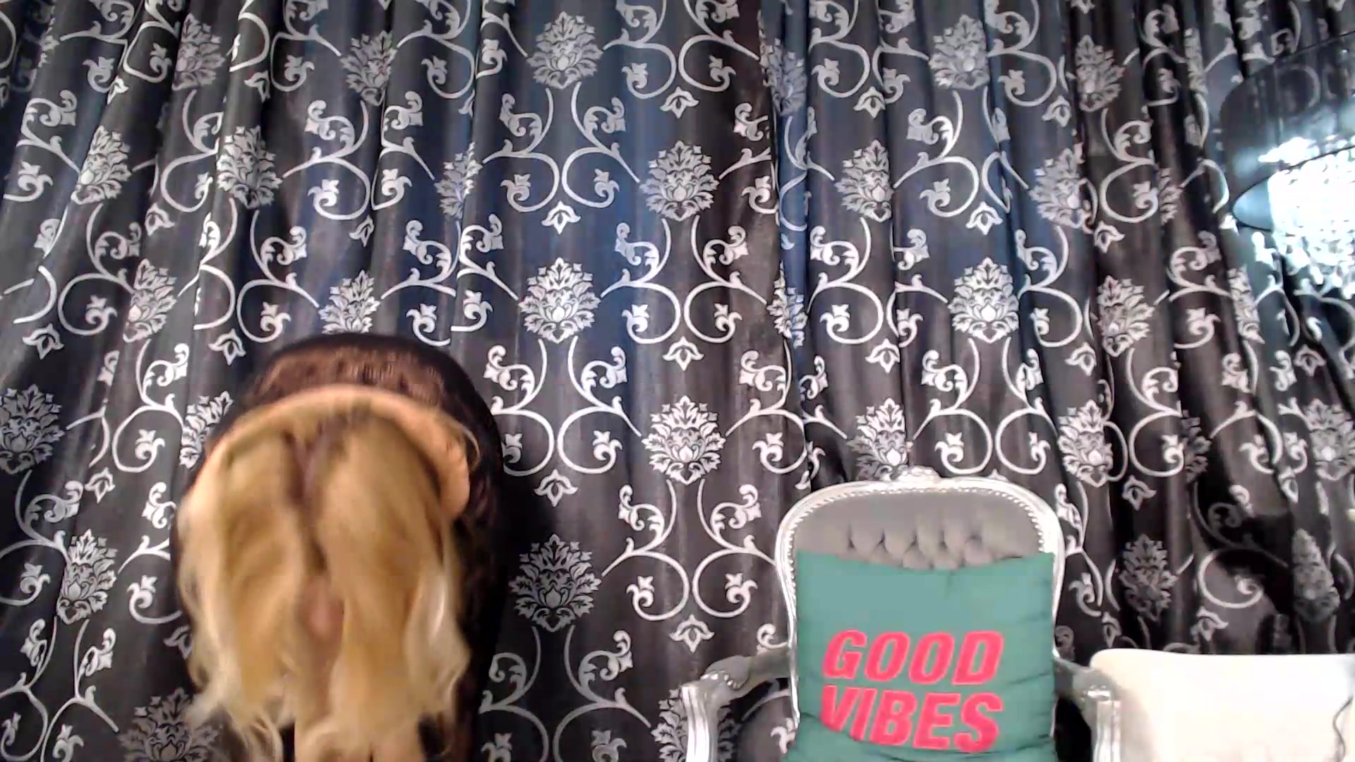Gallery image thumbnail from velvet_49's myfreecams stream on, 08/31/2026, 06:32 image 17 of 20