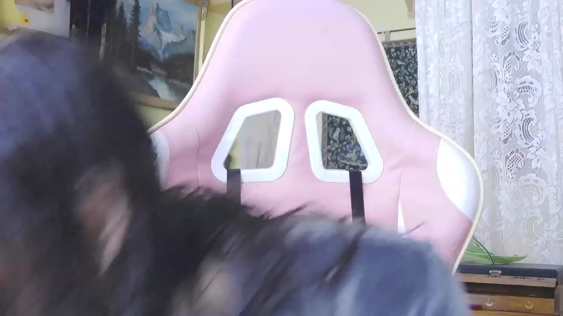 Gallery image thumbnail from viola__'s myfreecams stream on, 01/24/2024, 15:14 image 3 of 20
