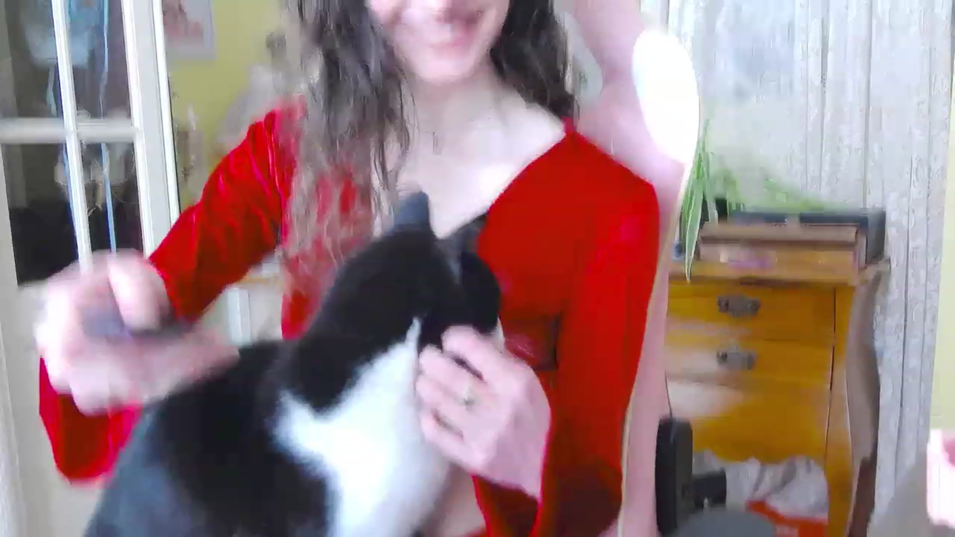 Gallery image thumbnail from viola__'s myfreecams stream on, 02/09/2024, 15:22 image 17 of 20