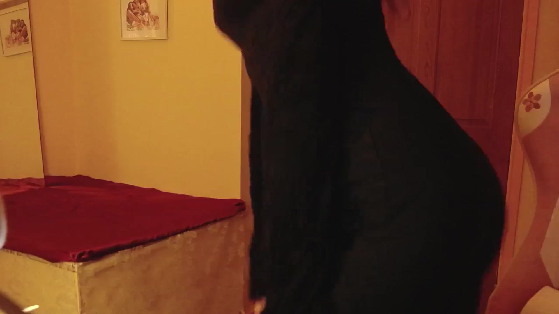 Gallery image thumbnail from viola__'s myfreecams stream on, 08/06/2024, 22:00 image 16 of 20