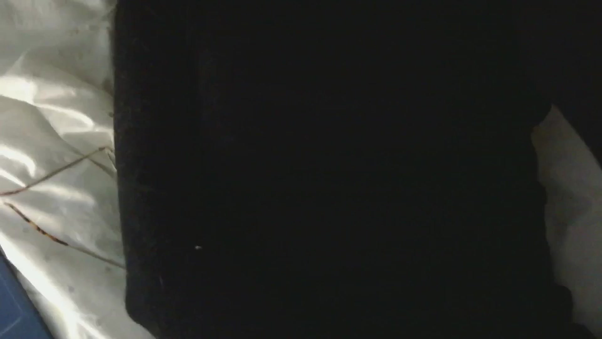 Gallery image thumbnail from viola__'s myfreecams stream on, 11/07/2024, 17:10 image 10 of 20