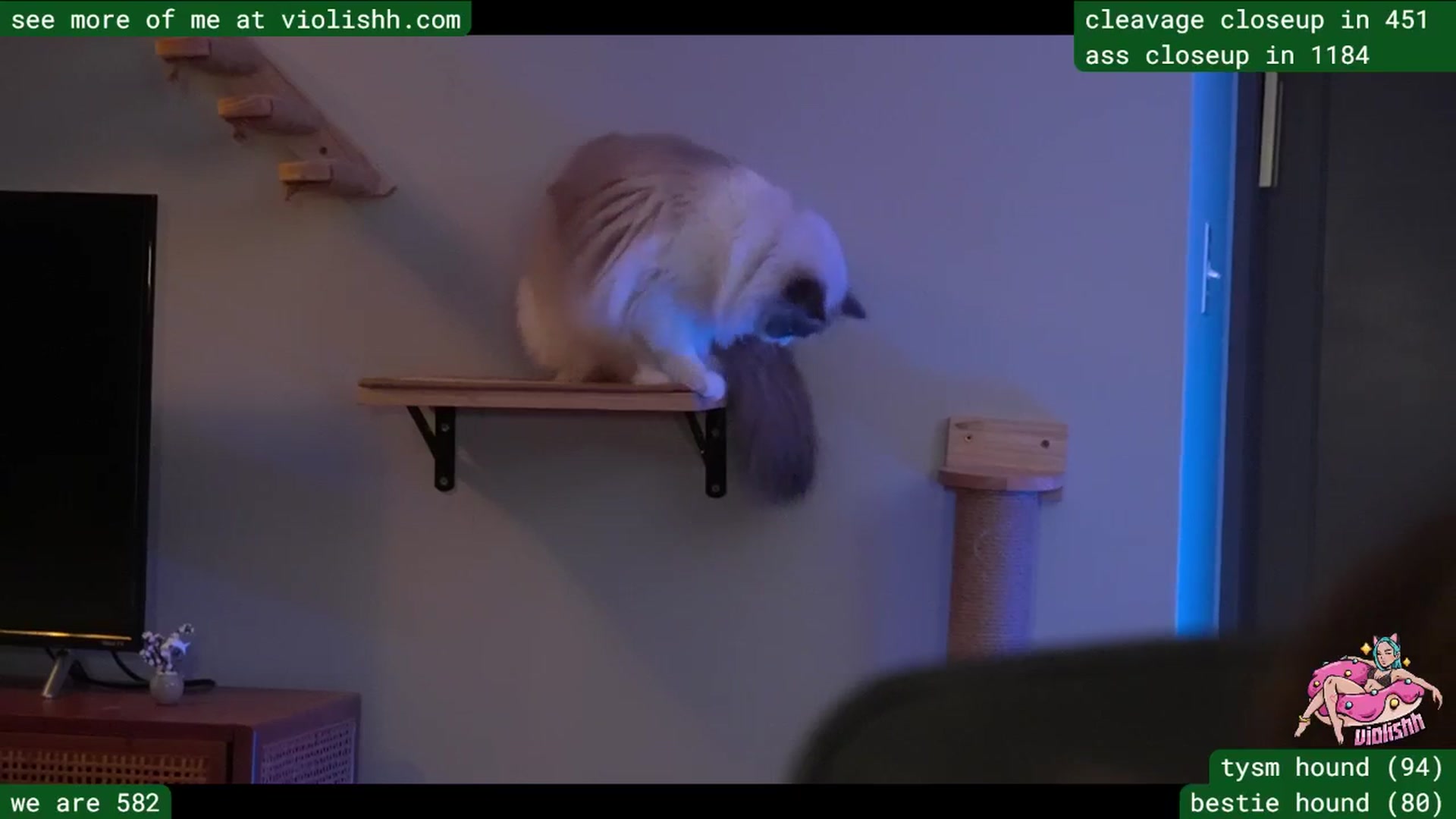 Gallery image thumbnail from violishh's myfreecams stream on, 03/26/2026, 01:15 image 11 of 20