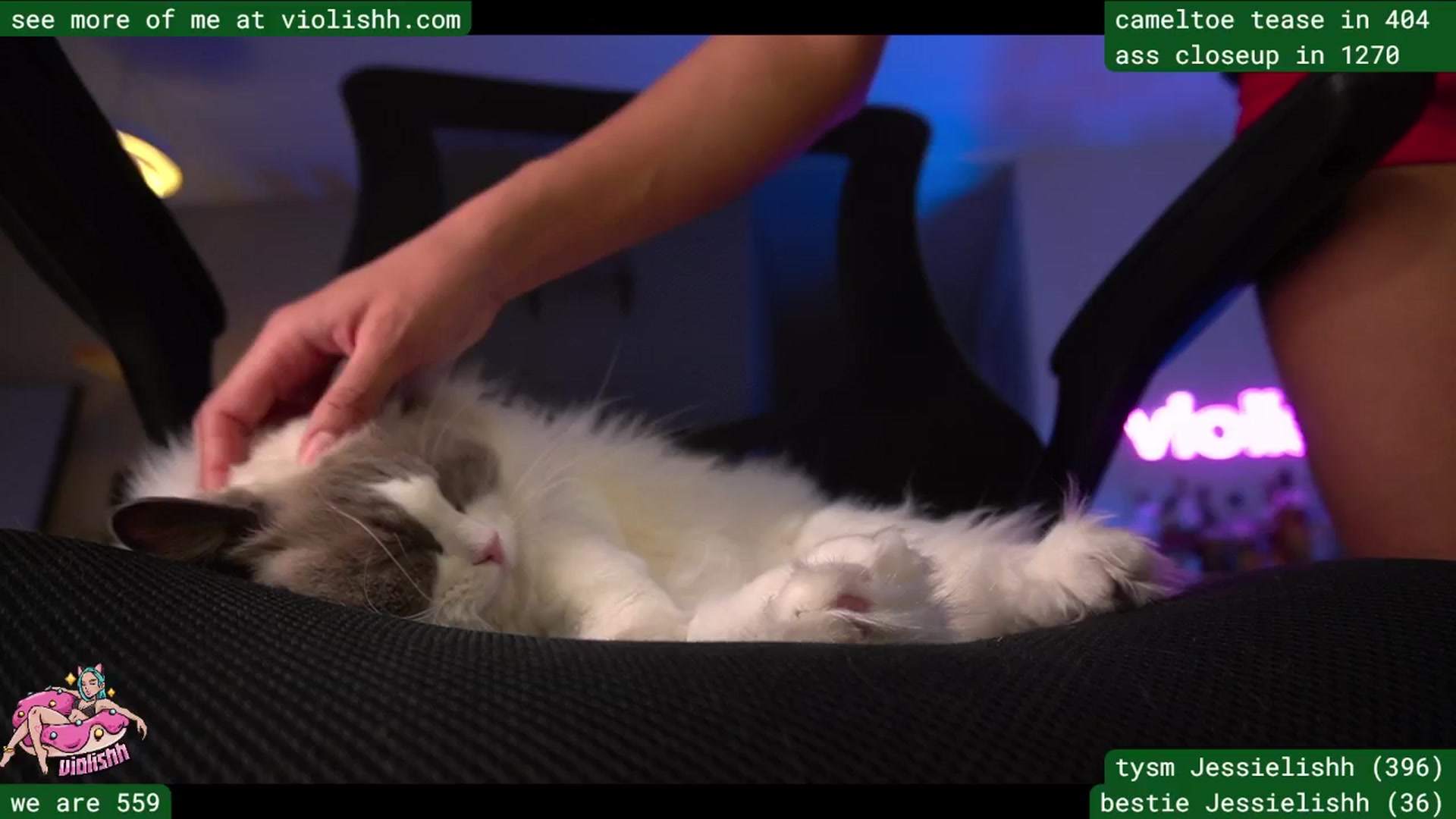 Gallery image thumbnail from violishh's myfreecams stream on, 03/27/2026, 01:14 image 14 of 20
