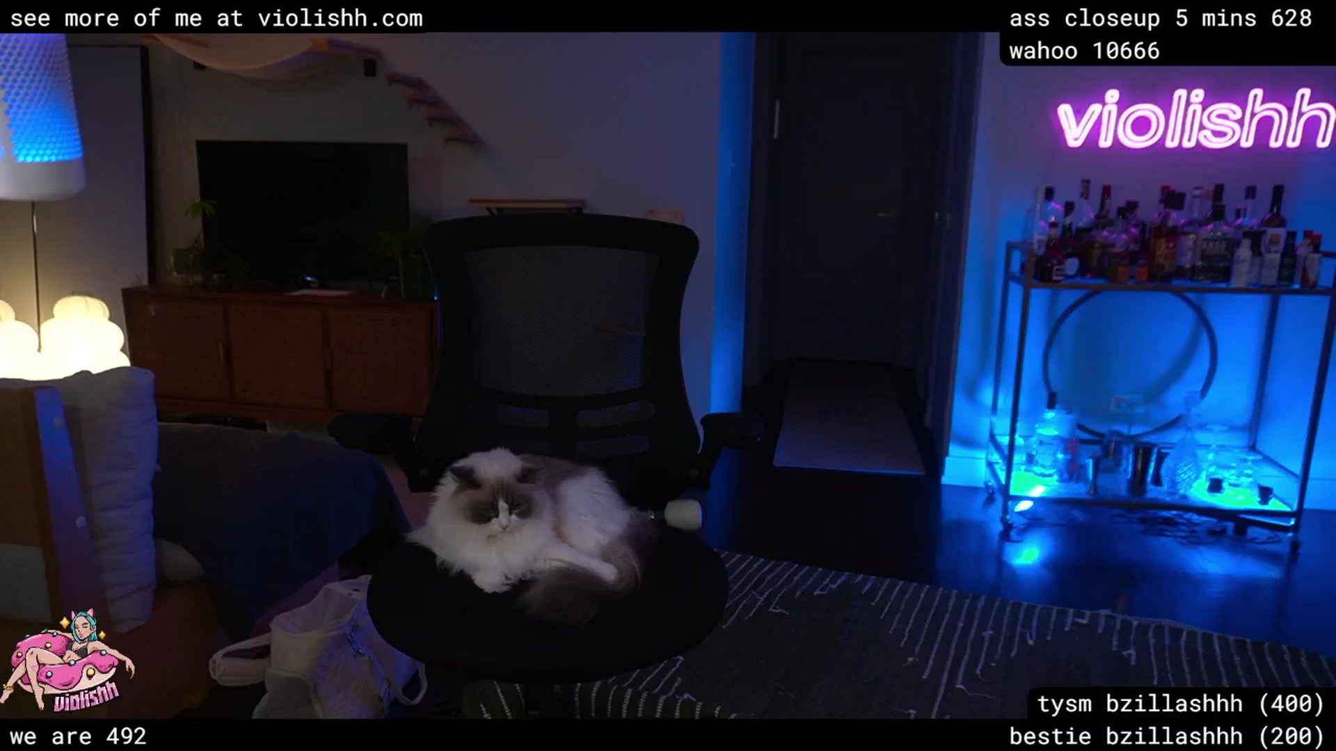 Gallery image thumbnail from violishh's myfreecams stream on, 03/31/2026, 02:54 image 9 of 20