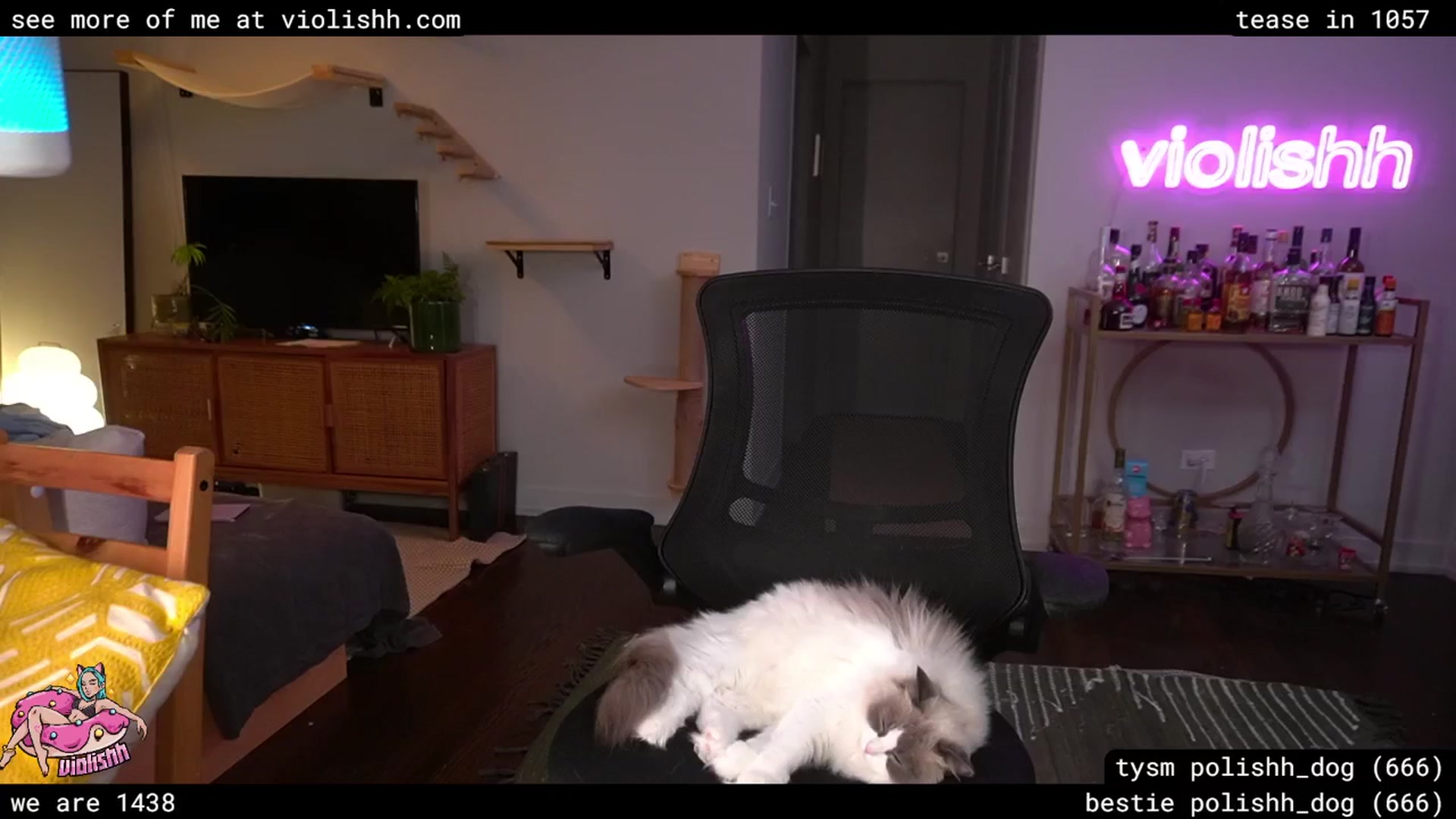 Gallery image thumbnail from violishh's myfreecams stream on, 04/03/2026, 03:10 image 11 of 20