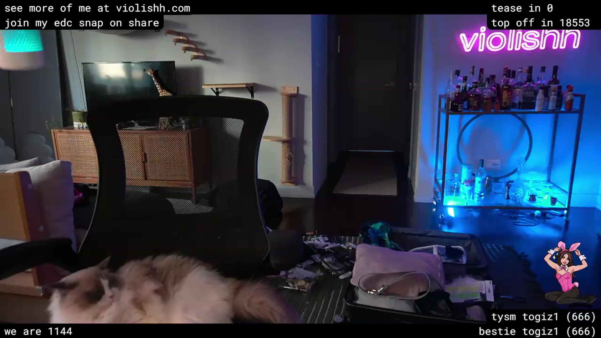 Gallery image thumbnail from violishh's myfreecams stream on, 05/12/2026, 02:16 image 10 of 20