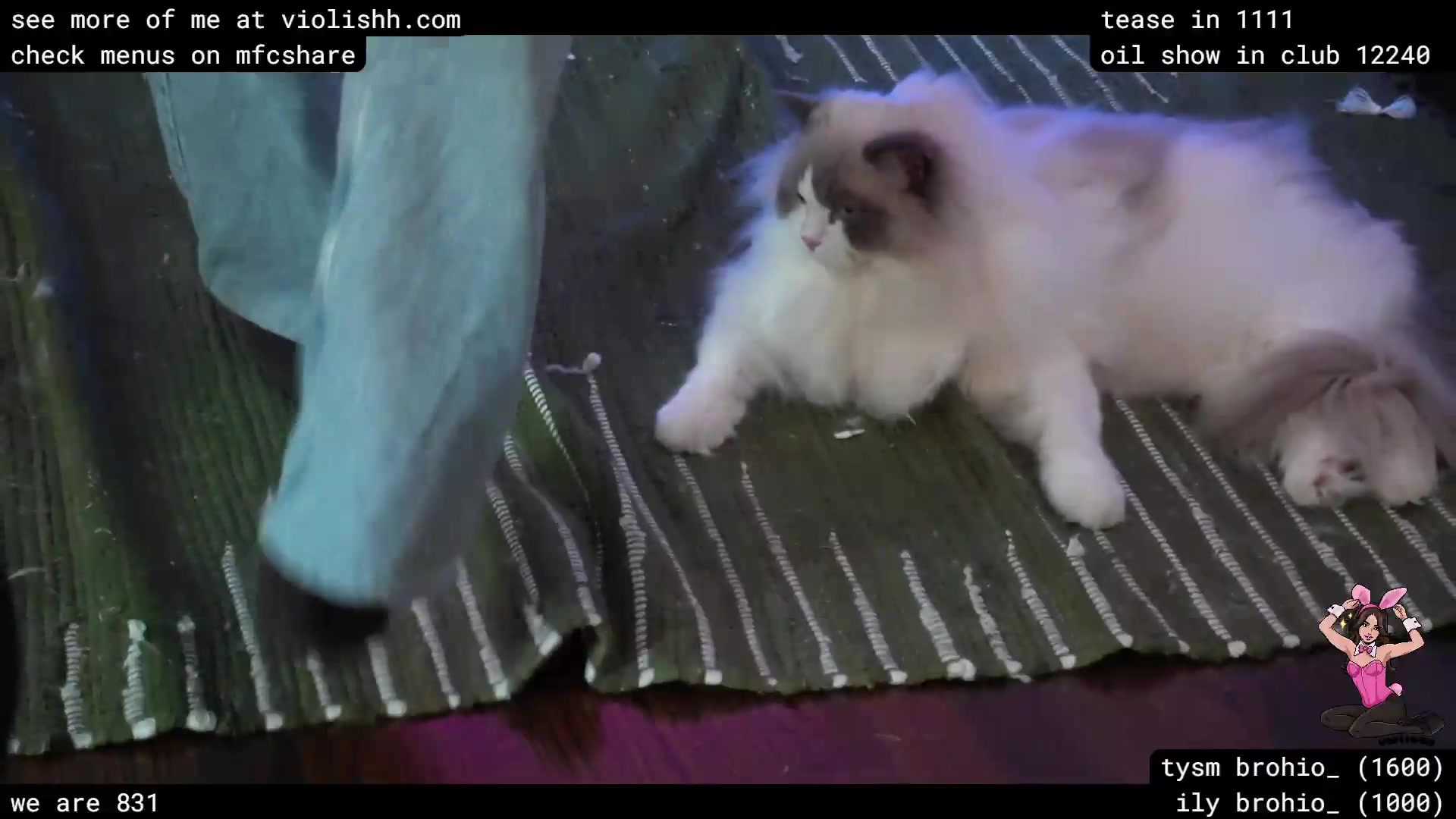 Gallery image thumbnail from violishh's myfreecams stream on, 06/11/2026, 21:28 image 18 of 20
