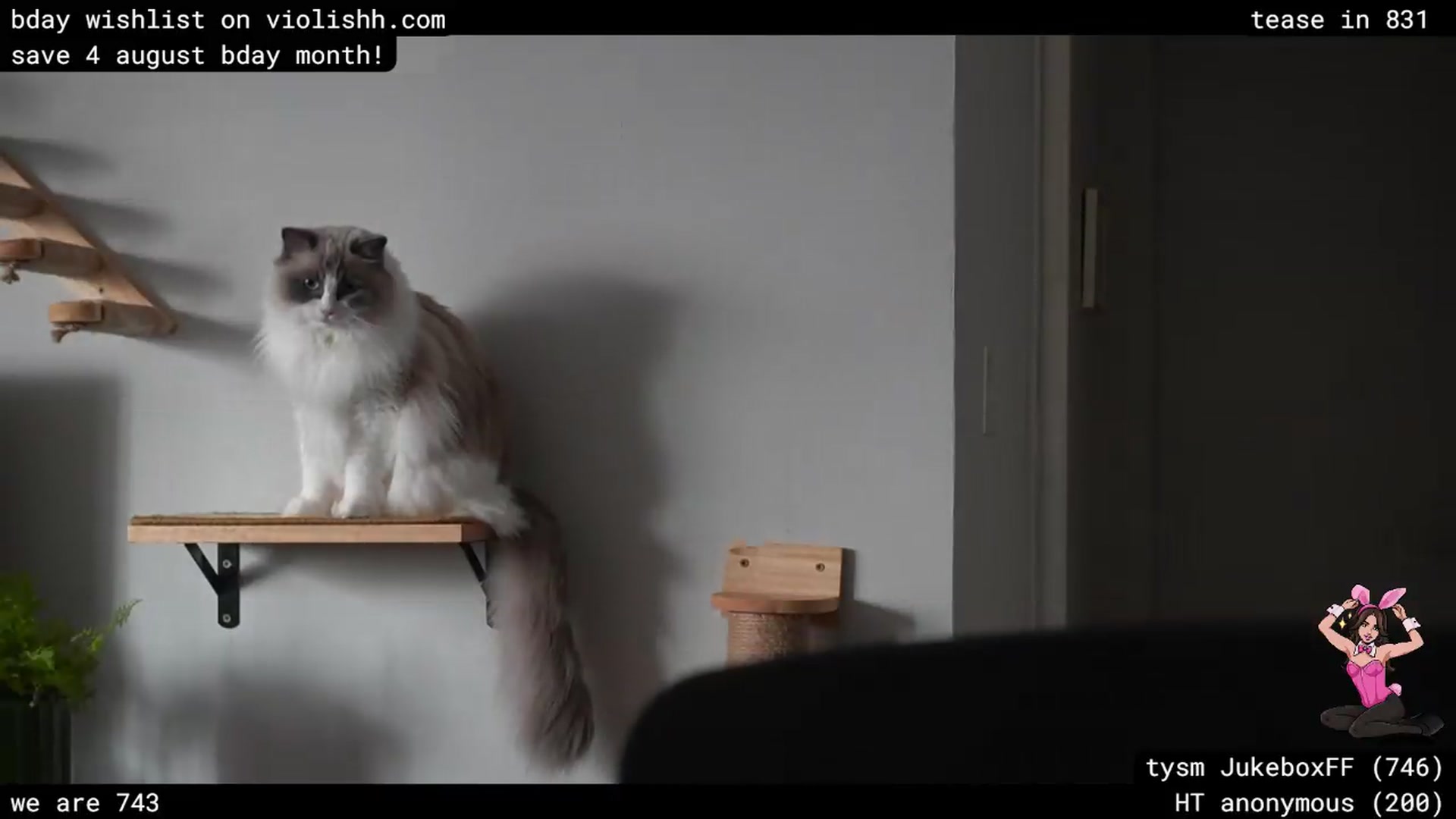 Gallery image thumbnail from violishh's myfreecams stream on, 07/24/2026, 24:02 image 5 of 20