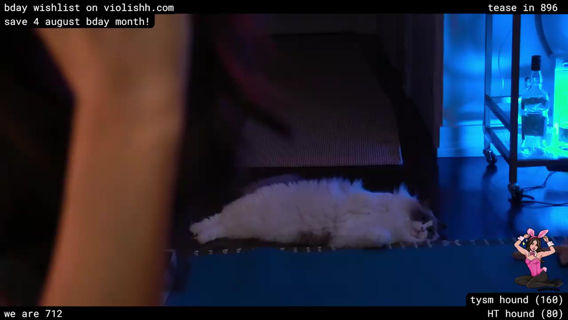 Gallery image thumbnail from violishh's myfreecams stream on, 07/26/2026, 04:45 image 16 of 20