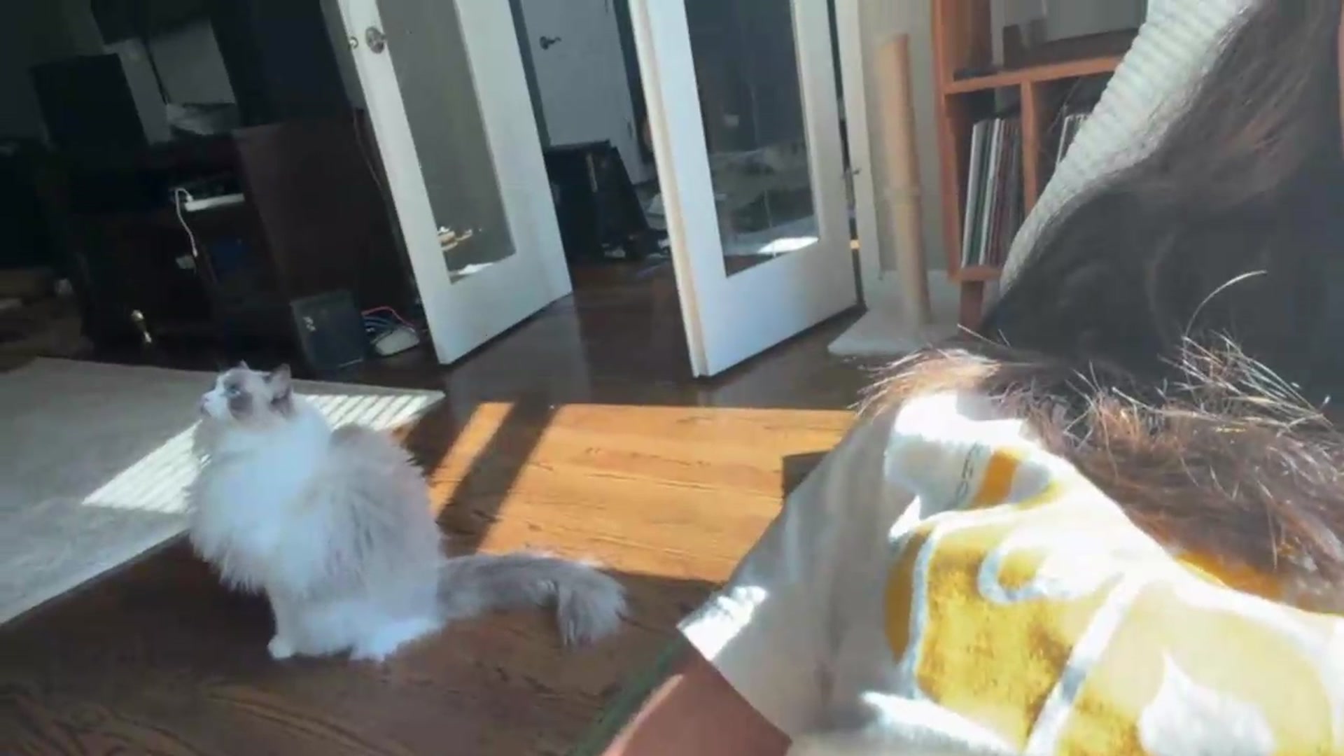 Gallery image thumbnail from violishh's myfreecams stream on, 07/30/2026, 21:55 image 18 of 20