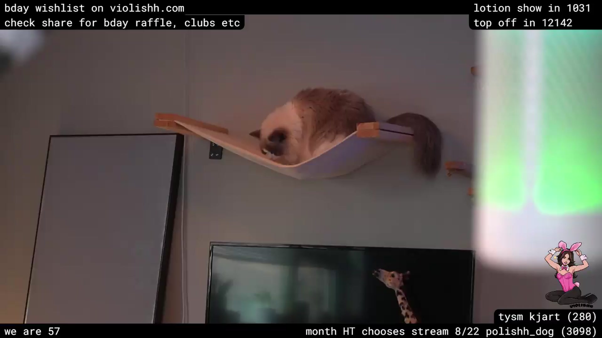 Gallery image thumbnail from violishh's myfreecams stream on, 08/04/2026, 04:18 image 1 of 20