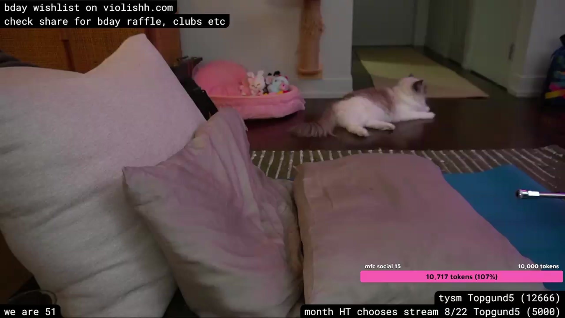 Gallery image thumbnail from violishh's myfreecams stream on, 08/10/2026, 03:15 image 3 of 20