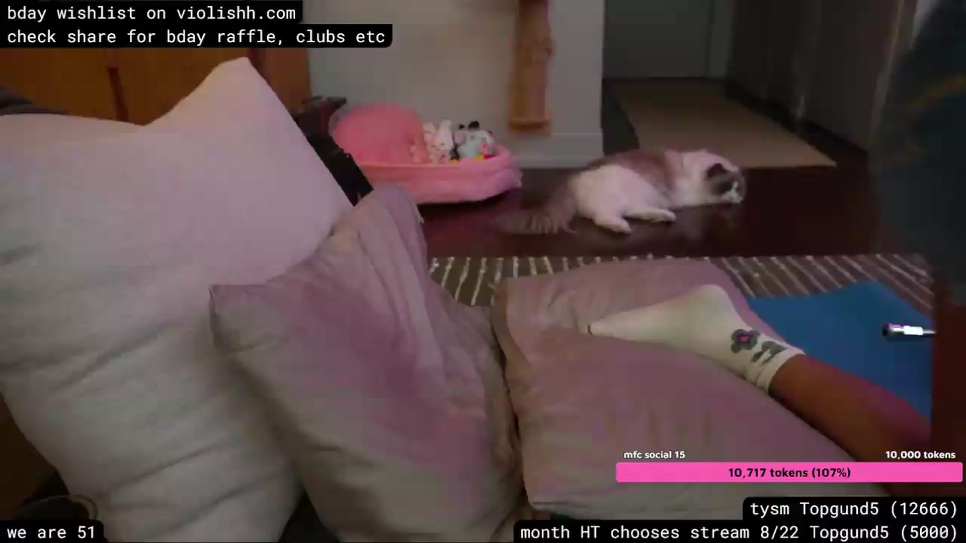 Gallery image thumbnail from violishh's myfreecams stream on, 08/10/2026, 03:15 image 1 of 20