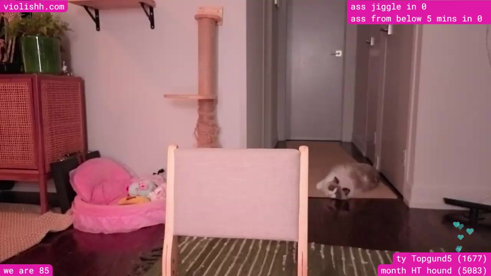 Gallery image thumbnail from violishh's myfreecams stream on, 08/31/2026, 04:50 image 19 of 20