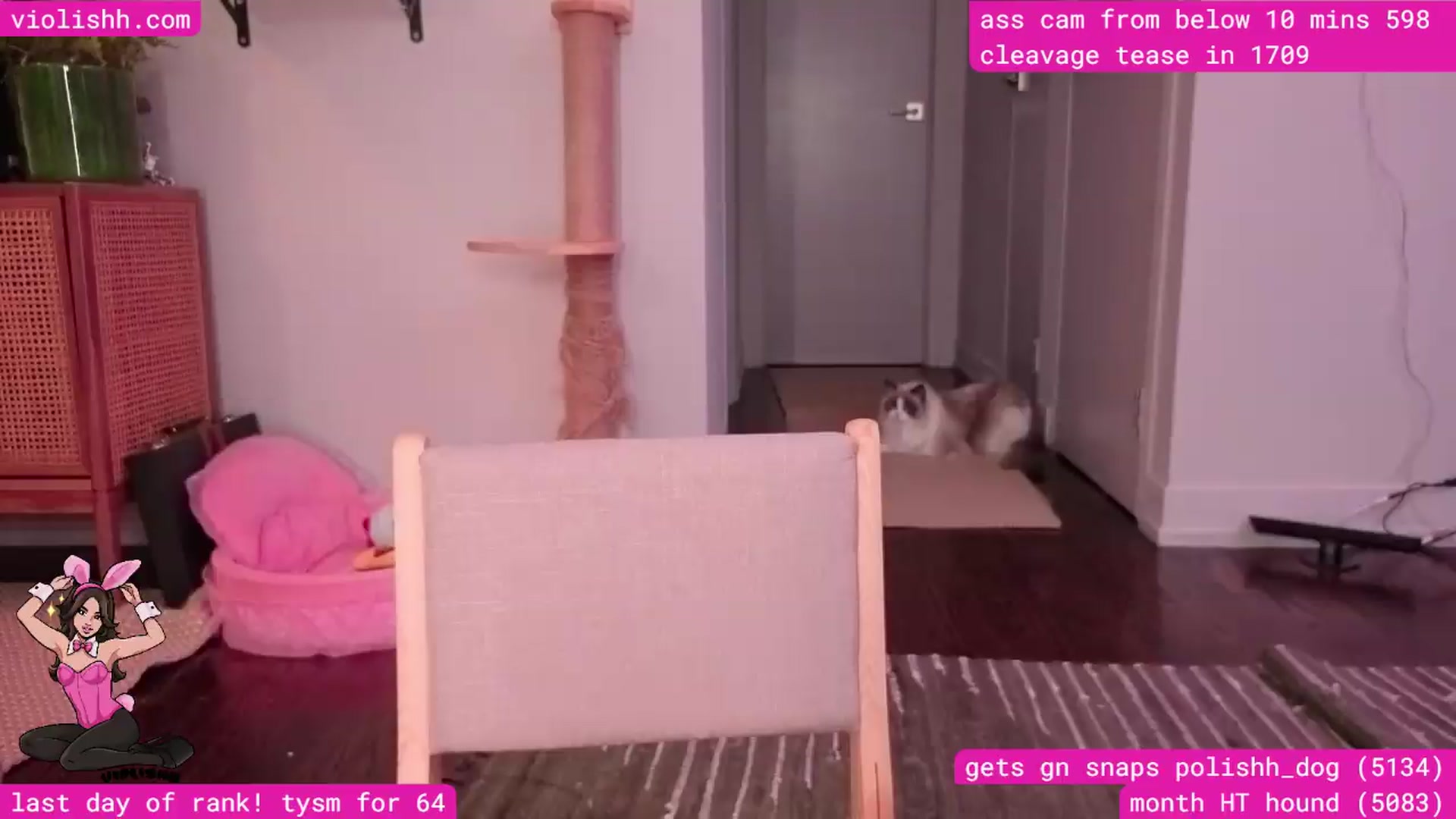 Gallery image thumbnail from violishh's myfreecams stream on, 09/01/2026, 03:20 image 18 of 20