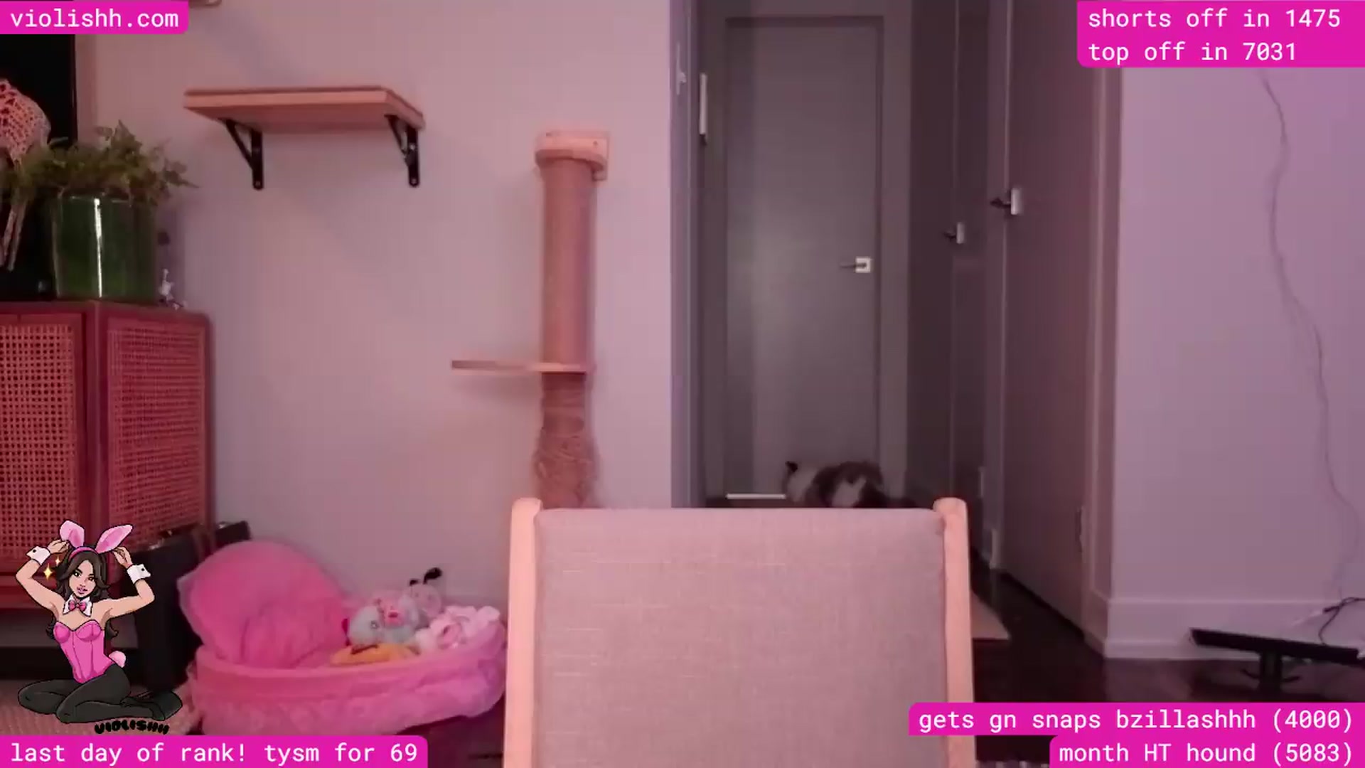 Gallery image thumbnail from violishh's myfreecams stream on, 09/01/2026, 03:20 image 2 of 20