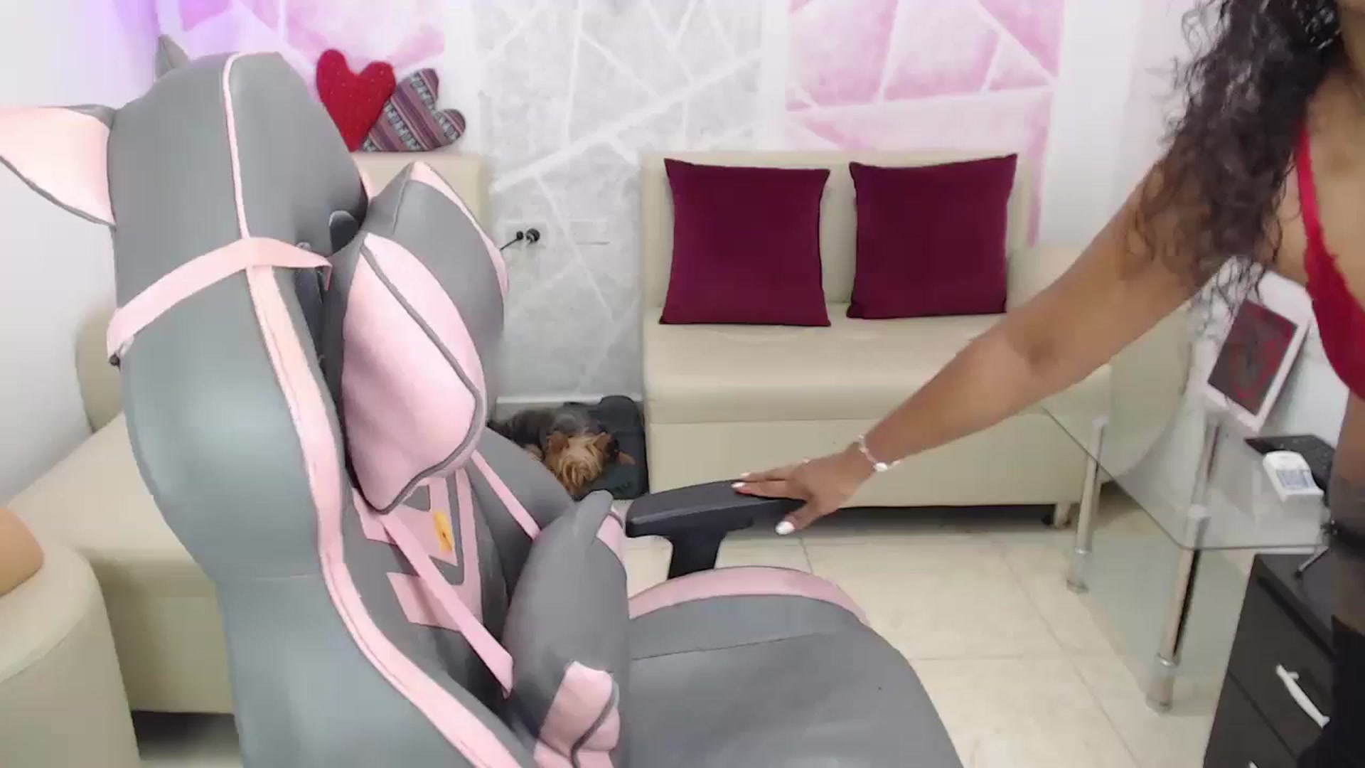 Gallery image thumbnail from virginia_love's myfreecams stream on, 10/21/2023, 20:01 image 1 of 20
