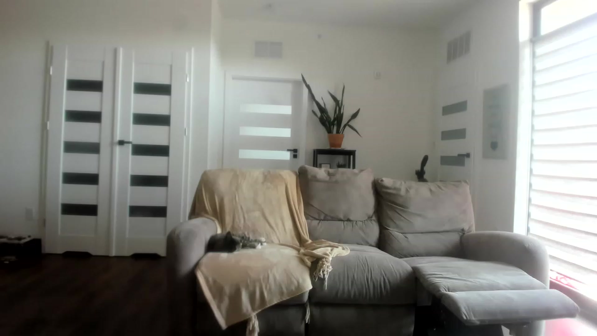 Gallery image thumbnail from virtualgirly's myfreecams stream on, 04/20/2023, 17:13 image 18 of 20