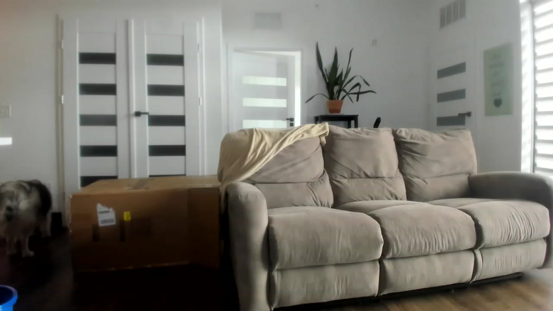 Gallery image thumbnail from virtualgirly's myfreecams stream on, 04/25/2023, 18:10 image 7 of 20