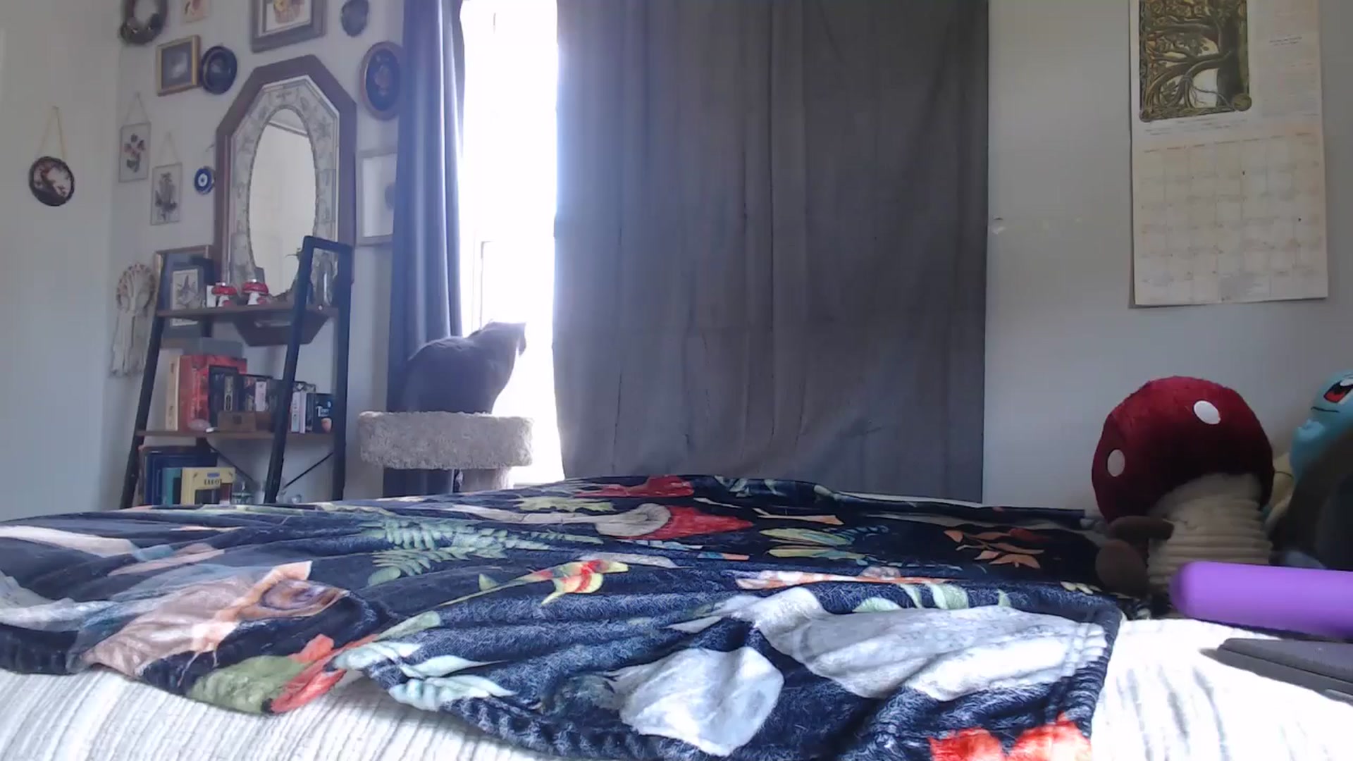 Gallery image thumbnail from vixenliz's myfreecams stream on, 03/03/2025, 19:27 image 1 of 20