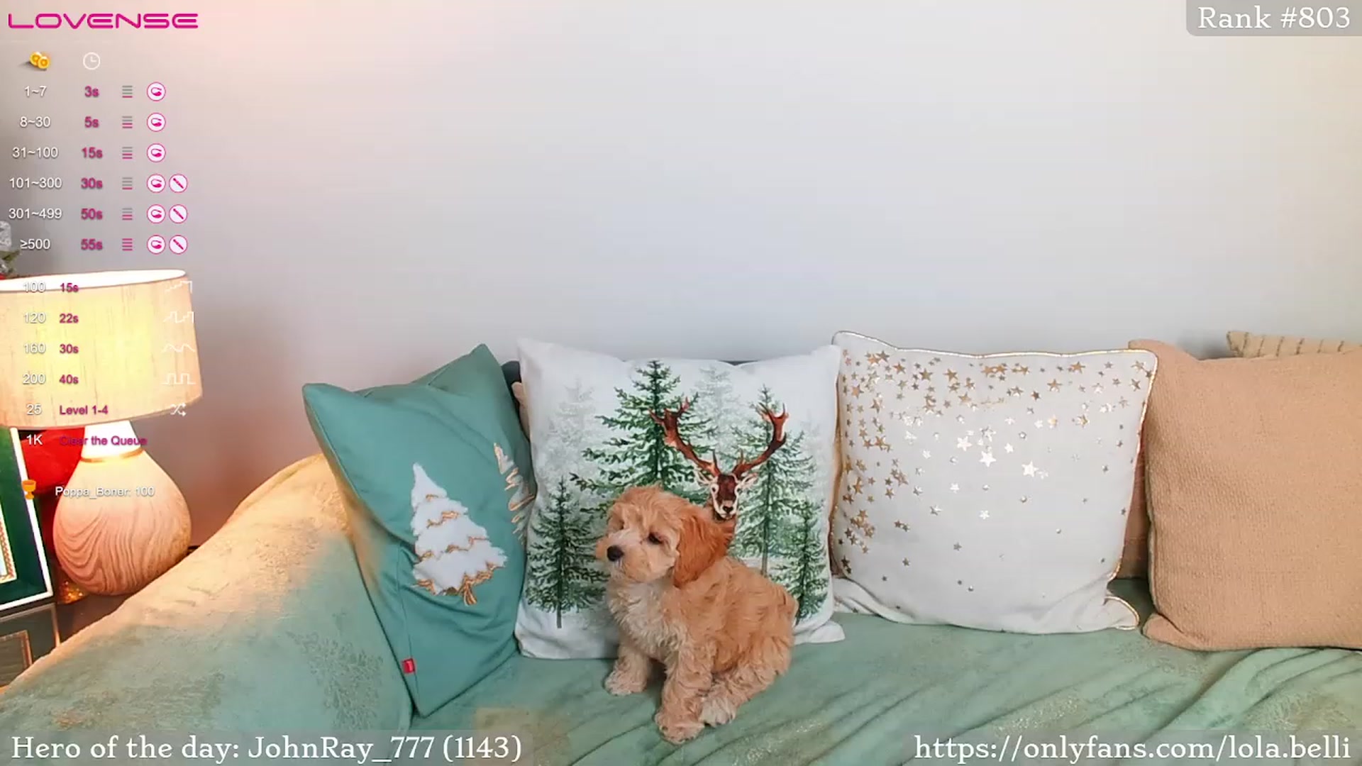 Gallery image thumbnail from wel_cum's myfreecams stream on, 12/27/2022, 23:52 image 18 of 20