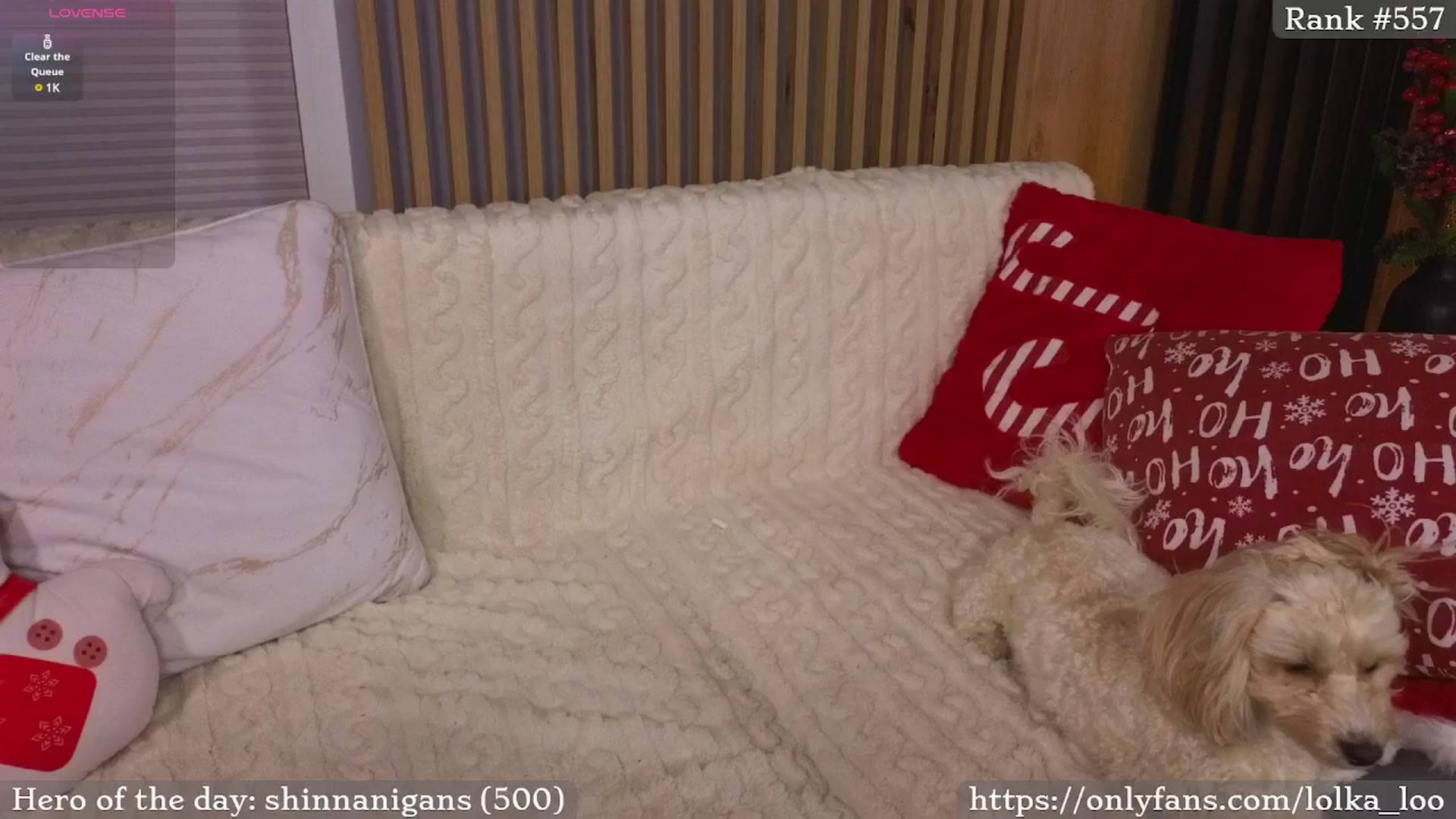 Gallery image thumbnail from wel_cum's myfreecams stream on, 12/11/2024, 20:59 image 19 of 20