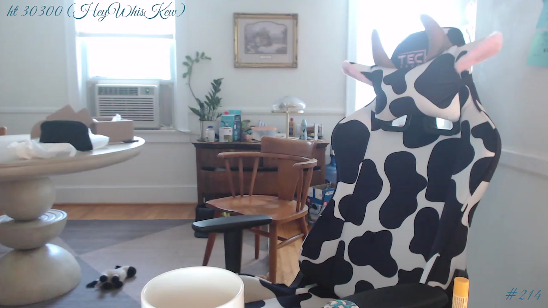 Gallery image thumbnail from whiskewub_rcJ's myfreecams stream on, 05/14/2023, 18:06 image 15 of 20